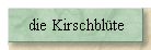 die Kirschbl�te