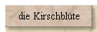 die Kirschbl�te